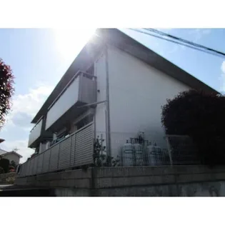 ヒラソールマルセイIIIの画像