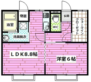 メゾン泉【1階】の間取り