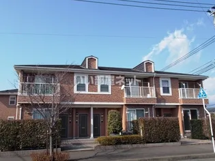 グラスワンダー Nー48の画像