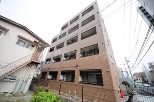 カーネリアンコート T Sの画像