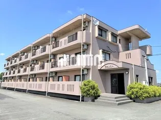 フォレストの画像