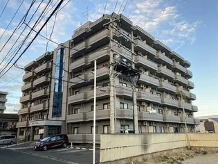 ファーストフィンガーの画像