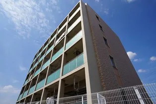 プラシードの画像