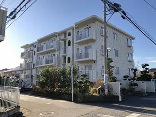 サンテラス湘南の画像