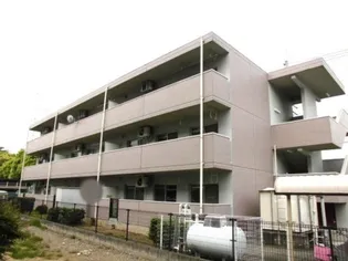 フォレストジョウエイの画像