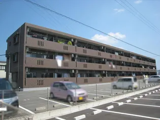 アンジューの画像