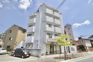 シャトーカズキ【4階】の外観