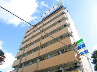 トーリエユタカの画像