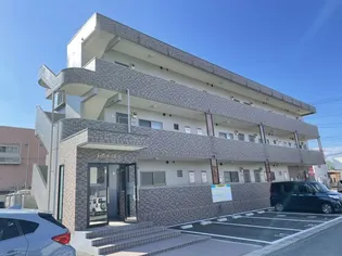 レ アールSAGAEの画像