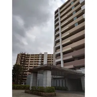 ウィズ松戸陽だまりの丘【6階】の外観