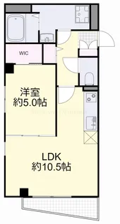 岡山県岡山市北区西古松【マンション】の間取り