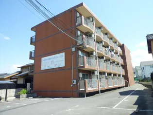 リビングVIIの画像