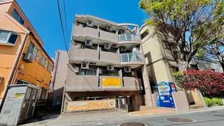 サンフレグランスの画像