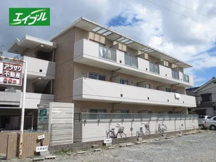 パラディー15の画像