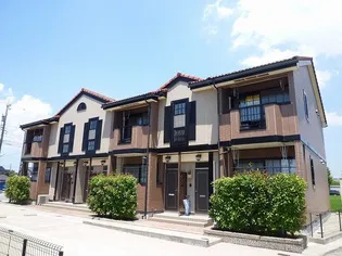 プリムローズの画像