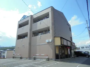 SEASON COURTの画像