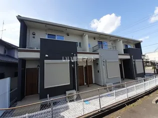 ブルー ローズの画像