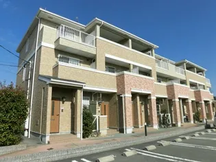 ドルフ サンフラワーの画像