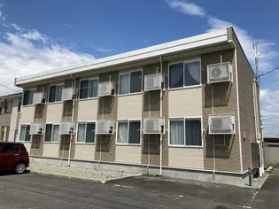 ミレニエルの画像