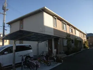 カトレアの画像
