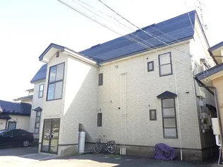 ベンジャミンの画像