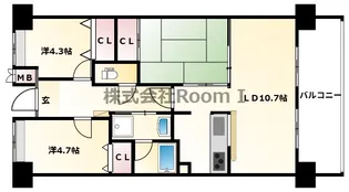 グレイスコート上本町【5階】の間取り