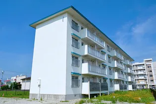 アシスト上越マンションIII【4階】の外観