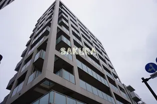 メゾン柳の画像