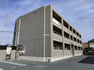 グレイシアの画像