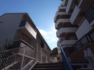 ボシュケ大津和の画像