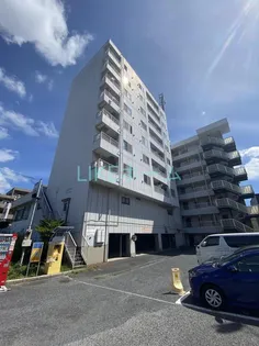 エクセル青山の画像