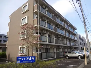 グランデアオキの画像