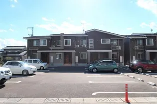 ストレリチア アルバ A Bの画像