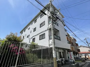 ヴィランディの画像