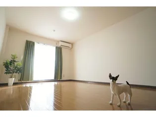 静岡県浜松市中央区根洗町【マンション】の外観