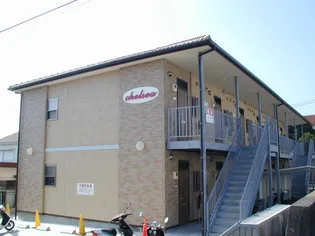 チェルシーの画像