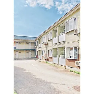 パンプキンの画像