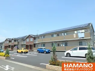 クローバーの画像