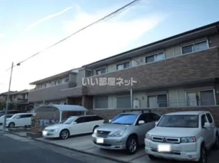 シャルマンの画像