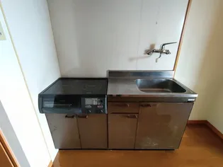 ライオネス【1階】のキッチン