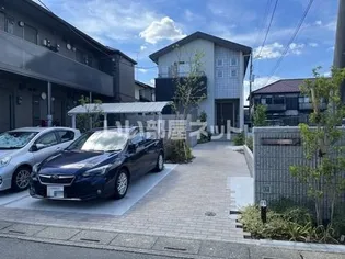 ヴィータリッカの画像