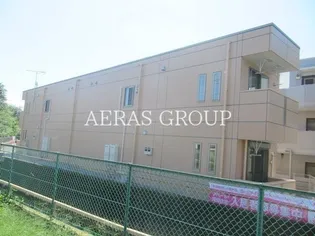 ファイン コーラルの画像