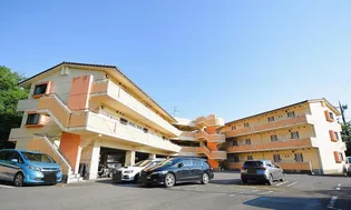 アイビス小絹の画像