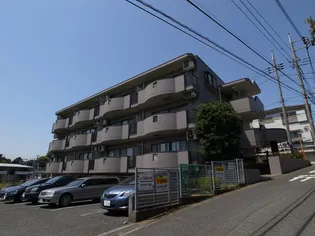ドルチェ柊の画像