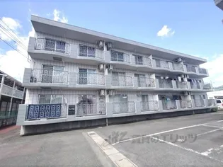 ヴェルデ夜苗Ⅱの画像