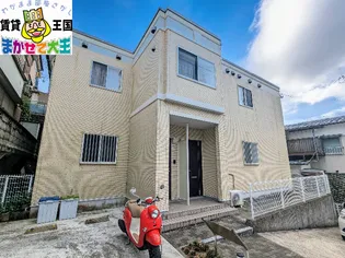 PRENDRE AOKIの画像