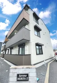 SERENO MORIYA IIの画像