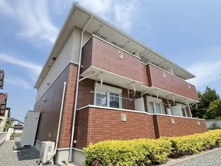 SUNLIT MURAKAMIの画像