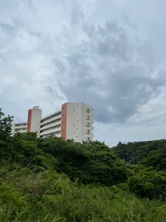 サンフラワー勝浦の画像