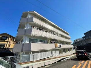 トレジャマンションの画像